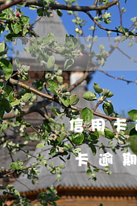 信用卡逾期凍結(jié)無法解封-信用卡逾期凍結(jié)無法解封
