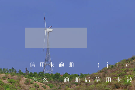 信用卡逾期凍結(jié)狀態(tài)怎么辦(逾期后信用卡被凍結(jié)如何解開?)