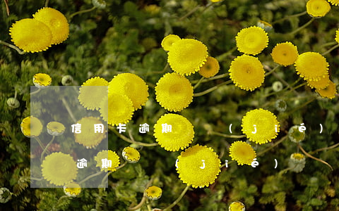 信用卡逾期凍結(jié)申請解凍(信用卡 逾期 凍結(jié))