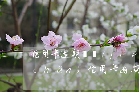 信用卡逾期凍結(jié)直系親屬財產(chǎn)(信用卡逾期會凍結(jié)親屬銀行卡嗎)