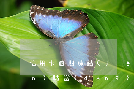 信用卡逾期凍結(jié)能取現(xiàn)嗎(當(dāng)信用卡逾期因凍結(jié)時(shí)取現(xiàn)金時(shí)怎么提示的)