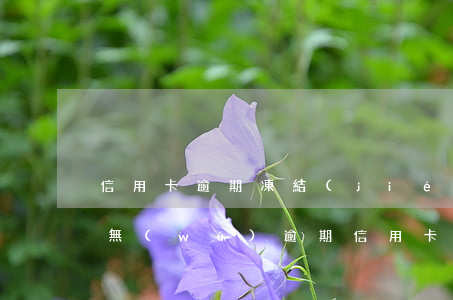 信用卡逾期凍結(jié)能恢復(fù)(無(wú)逾期信用卡被凍結(jié)后多久可以重新申請(qǐng))