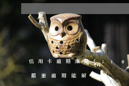 信用卡逾期凍結(jié)能解凍嗎(信用卡嚴重逾期能解凍嗎)