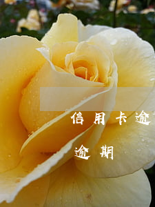 信用卡逾期凍結(jié)能解凍嘛(信用卡逾期凍結(jié)可以解凍嗎)