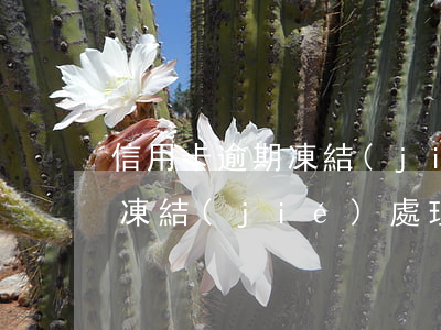 信用卡逾期凍結(jié)處理(信用卡逾期凍結(jié)處理流程)