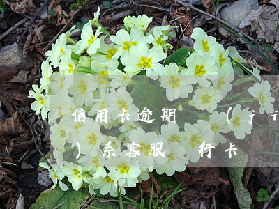 信用卡逾期凍結(jié)請聯(lián)系客服(銀行卡凍結(jié)導致信用卡逾期)