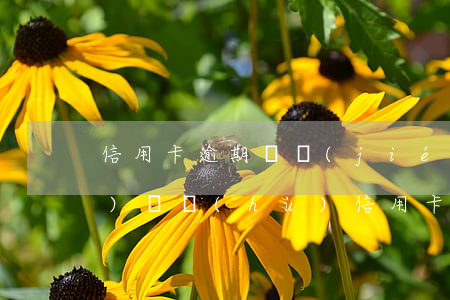 信用卡逾期凍結(jié)資產(chǎn)賬戶(hù)(信用卡逾期會(huì)被凍結(jié)名下所有資產(chǎn)么)