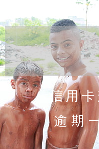 信用卡逾期凍結(jié)過幾年能解凍嗎(逾期一年的信用卡還能解凍嗎)