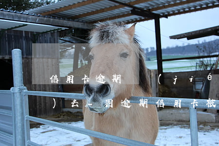 信用卡逾期凍結(jié)還不進(jìn)去-因逾期信用卡被凍結(jié)了還能解凍嗎