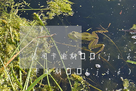 信用卡逾期凍結(jié)還了一部分(信用卡逾期凍結(jié)還了一部分)