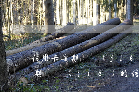 信用卡逾期凍結(jié)還完要銷卡嗎(逾期凍結(jié)的信用卡還能解凍嗎)