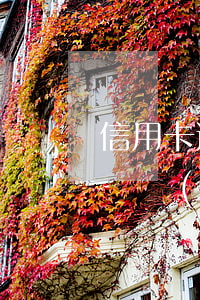 信用卡逾期凍結(jié)還款(信用卡逾期凍結(jié)還款后還能用嗎)