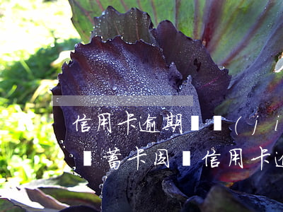 信用卡逾期凍結(jié)還款可以使用嗎(儲蓄卡因為信用卡逾期被凍結(jié),可以在拖幾個月還款嗎)