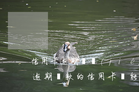 信用卡逾期凍結(jié)還款后還能用嗎(逾期還款的信用卡還能用嗎)