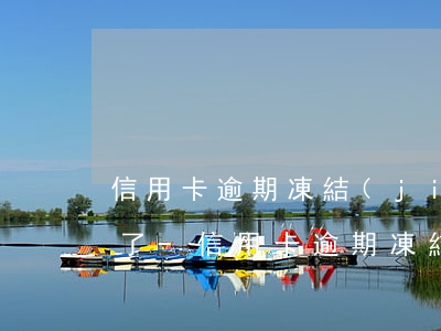 信用卡逾期凍結(jié)還款后額度沒有了-信用卡逾期凍結(jié)還款后額度沒有了怎么辦