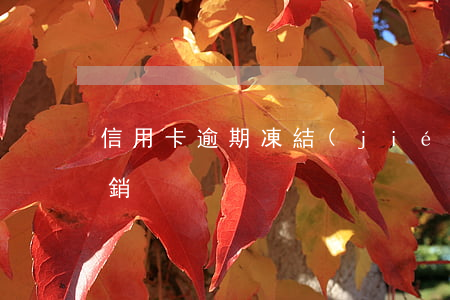 信用卡逾期凍結(jié)還清了要不要注銷