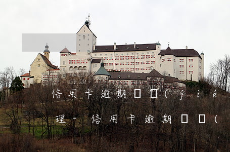 信用卡逾期凍結(jié)還清了該怎么處理-信用卡逾期凍結(jié)還清了該怎么處理呢