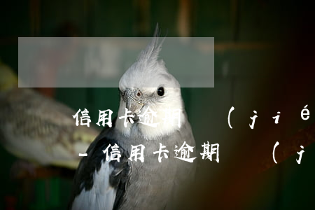 信用卡逾期凍結(jié)還清后不能解凍-信用卡逾期凍結(jié)還清后不能解凍怎么辦