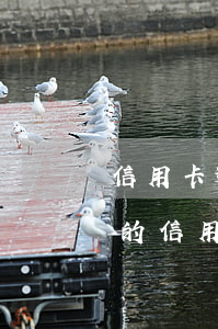 信用卡逾期凍結(jié)還清后注銷(逾期的信用卡還清后會(huì)自動(dòng)注銷嗎)