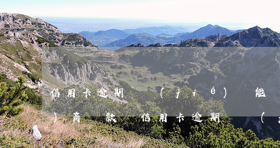 信用卡逾期凍結(jié)還能協(xié)商還款嗎 信用卡 逾期 凍結(jié)