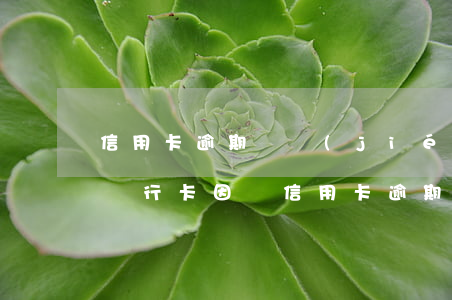 信用卡逾期凍結(jié)還能辦別的卡嗎(銀行卡因為信用卡逾期被凍結(jié)怎么辦)