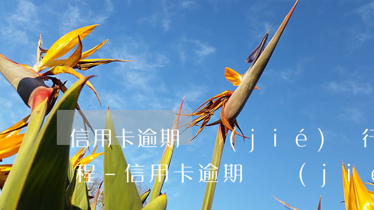 信用卡逾期凍結(jié)銀行卡有什么流程-信用卡逾期凍結(jié)銀行卡有什么流程嗎