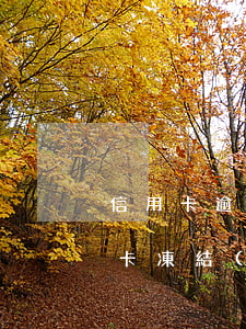 信用卡逾期凍結(jié)銀行卡流程(銀行卡凍結(jié)導(dǎo)致信用卡逾期)