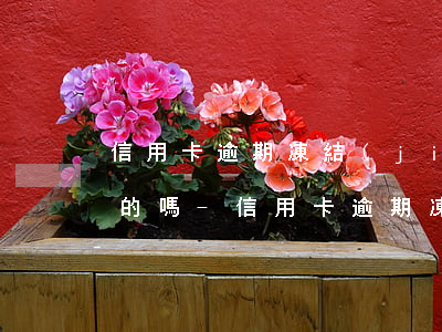 信用卡逾期凍結(jié)銀行卡短信是真的嗎-信用卡逾期凍結(jié)銀行卡短信是真的嗎嗎
