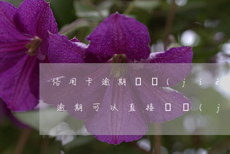 信用卡逾期凍結(jié)電子賬戶(信用卡逾期可以直接凍結(jié)我個人儲蓄賬戶嗎)