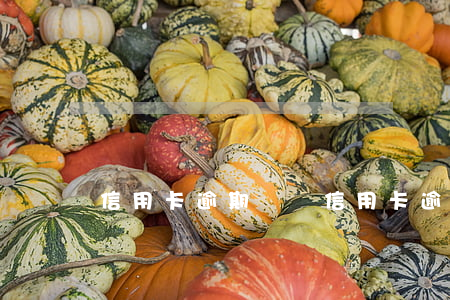 信用卡 逾期 凍結（信用卡逾期沒還立案）