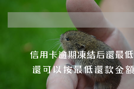信用卡逾期凍結后還最低還款(銀行卡逾期后還可以按最低還款金額嗎)