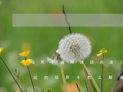 信用卡逾期凍結房產(chǎn)嗎 逾期凍結的信用卡怎么解凍