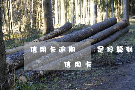 信用卡逾期凍結是停算利息了嗎-逾期多久會凍結信用卡
