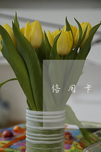 信用卡逾期凍結注銷不了