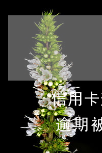 信用卡逾期凍結能解凍嘛 銀行卡因為信用卡逾期被凍結怎么辦