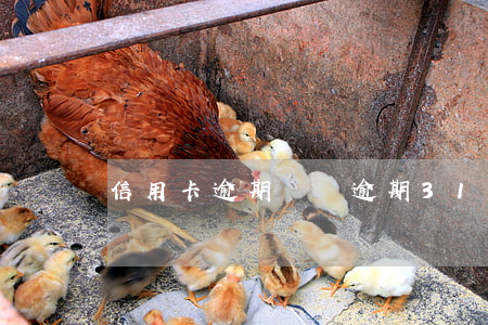 信用卡 逾期 凍結（逾期31天信用卡解凍）