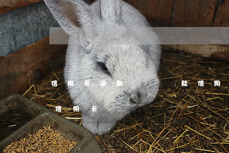 信用卡逾期凍結還能(信用卡逾期凍結還能辦信用卡嗎)