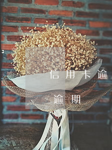 信用卡逾期凍結銀行卡后怎么解凍-信用卡逾期凍結銀行卡后怎么解凍呢