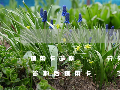 信用卡逾期凍結銀行卡怎么辦上海 銀行貸款逾期后信用卡凍結了怎么辦
