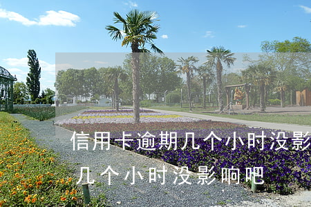 信用卡逾期几个小时没影响吧-信用卡逾期几个小时没影响吧