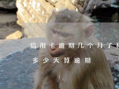 信用卡逾期几个月了利息是多少-还信用卡多少天算逾期