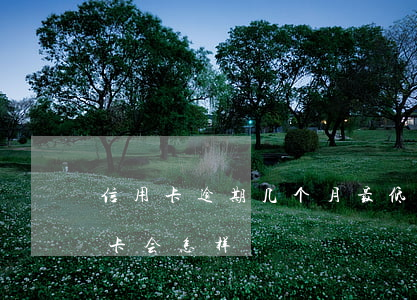 信用卡逾期几个月最低还款(逾期半月还信用卡会怎样)