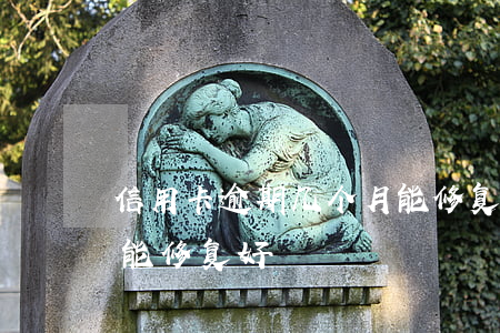 信用卡逾期几个月能修复(信用卡逾期几个月能修复好)