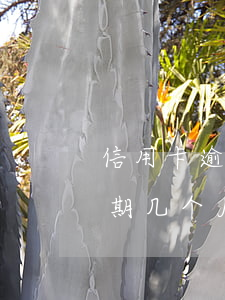 信用卡逾期几个月还上还能用吗-信用卡逾期几个月还上还能用吗知乎