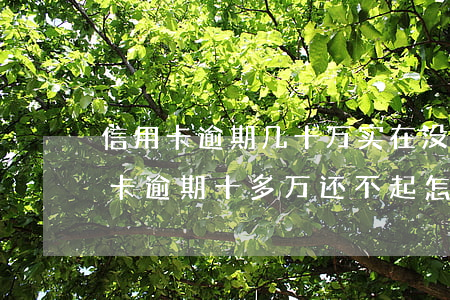 信用卡逾期几十万实在没钱还怎么解决(信用卡逾期十多万还不起怎么办)