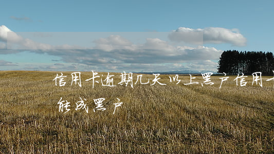 信用卡逾期几天以上黑户(信用卡逾期多久才能成黑户)