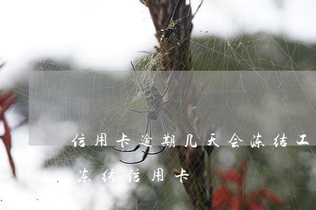 信用卡逾期几天会冻结工资卡吗(逾期多久会冻结信用卡)