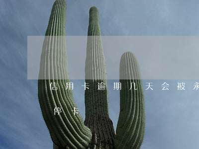 信用卡逾期几天会被永久停卡(逾期多久会被停卡)