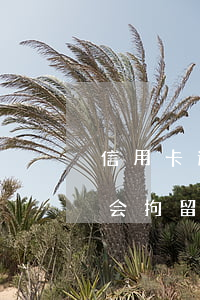 信用卡逾期几天会起诉么(欠信用卡逾期起诉会拘留吗)