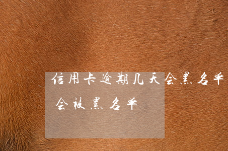 信用卡逾期几天会黑名单(欠信用卡多久不还会被黑名单)